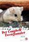Preview: Der Campbell-Zwerghamster
